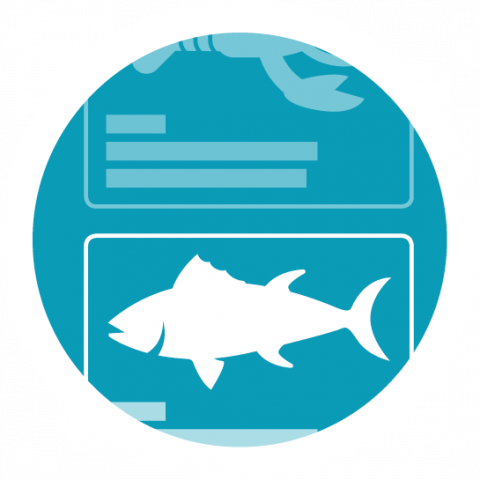 FishLocal - Buy fresh fish direct from your local fisher